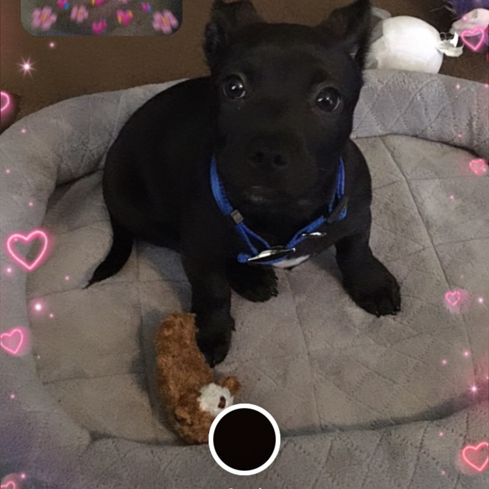 Meet your Posher, Kiyoni